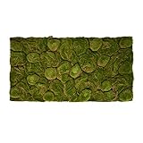 REPITERRA Terrarium Rückwand 3D Hintergrund Deko Naturlook Moos 116x58cm für 120x60cm Terrarien