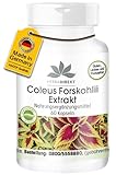 Forskolin Kapseln - 60 Kapseln - hochdosiert - Coleus Forskohlii Extrakt | HERBADIREKT by Warnke Vitalstoffe - Deutsche Apothekenqualität