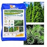 ECODECO Koniferen Dünger MagneFlora | Heckendünger Mehrkomponenten-Granulat gegen Verbräunung von Nadelbäumen | Langzeit Dünger für Thuja 5kg