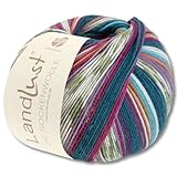 Frida's Wollhaus Lana Grossa 100 g Landlust die Sockenwolle 4-fädig Stricken Wolle Garn 33 Farben (710)