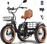KAKIGO Elektro-Dreirad Für Erwachsene,20”x4” Fat Tires,Aluminium Faltbares E-Bike,250W Motor,65 Nm,48V 15.6Ah Akku,25 Km/h, Vorder-&Hinterkorb,Differenzial,90Km Reichweite