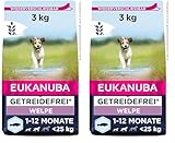 Eukanuba Welpenfutter getreidefrei mit Fisch für kleine und mittelgroße Rassen - Trockenfutter ohne Getreide für Junior Hunde, 3 kg (Packung mit 2)