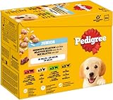 PEDIGREE DOGCARE Wet (Mixed) Chunks IN Jelly JUNIOR 100G Multipack Standard 12x100g