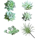 Soviton Mini Sukkulenten, künstliche Sukkulenten, unbepflanzt in grünem Blumenarrangement, 6 Stück