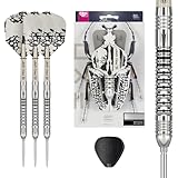 Target Darts EXO Edition 90% Tungsten Steel Tip Darts Set - 21g Barrel SP03 - Steel Tip Dart Set, Swiss Point Darts mit Pro Grip Schäften und No.6 Flights, SP Tool Included