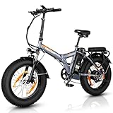 VARUN E Bike, 20' * 1.95'/20' * 4.0' E-Fatbike mit 250W Motor, 48V 13Ah/7.8Ah Akku, E-Bike Klappbar mit LCD-Display, 7-Gangs, E-Fahrrad mit 3 Fahrmodi, Pedelec EBike Damen Herren, Reichweite 100KM