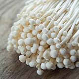 50 pcs Enoki Pilze Samen, Pilz Samen, Enoki Mushroom Fungi Pilz Pilze Züchten - Flammulina Velutipes - Champignons Frisch, praktische geschenke bio samen gemüse pflanztopf gartenpflanzen