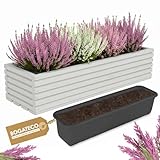 BOGATECO Blumenkasten aus Holz 64x20 cm mit Innentopf Pflanzkasten Für Garten Pflanzkübel Für Balkon Blumenkasten Für Terrasse Blumentopf mit Einsatz Kräutertopf für zu Hause Blumenkübel HELLGRAU