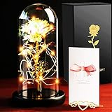 Gomyhom künstliche Blume Rose Geschenk, Regenbogen für Immer Rosen LED-Licht in Glas