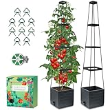 MQHUAYU 150cmTomatentopf, 2 Pack Selbstbewässerung Tomatentopf mit Rankhilfe,Tomaten Rankhilfe mit Wasserspeicher，Höhe Einstellbar Tomatenturm，für Kletterpflanzen Gemüse Blumen Outdoor&Indoor