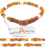 Baltic Secret Bernsteinkette Hund mit EM Keramik Pipes - Effektive MIKROORGANISMEN - Bernsteinhalsband Hunde - Bernstein - Zeckenschutz