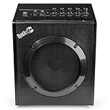 RockJam 20 Watt Electric Guitar Amplifier with Headphone Output, Three-Band EQ, Overdrive & Gain