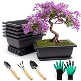 FSWWSF 6 Stück Bonsai Schale mit Untersetzer, Bonsai Topf, Kunststoff Tief Blumentopf, für Garten Pflanzen Hof Wohnen Zimmer Balkon Büro