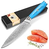 20.3 cm Damastkochmesser Japanisch 67 Schicht VG-10 Damaststahl Profi Küchenmesser 19,5cm Scharfes Gemüse- & Fleischmesser mit ergonomischem blauem Naturharzgriff und Geschenkbox