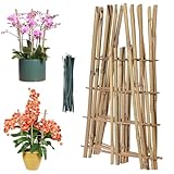 Bambus-Pflanzenspalier 6er-Pack Quadratische Mini-Stützen Aus Natürlichem Bambus Mini-Spalier Für Monstera, Orchidee, Ranke, Zimmerpflanze Bambus-Spalier Mini-Gemüse-Blumenstützen