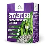 LERAVA STARTER - Parent (15m²)