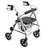 Trendmobil Leichtgewichtrollator LR 56 nur 6,7 kg Rollator inkl. Korb und Stockhalterung - Pannensichere PU Bereifung