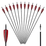 Huntingdoor 12er Carbonpfeile mit Naturfeder 30” Pfeile für Bogenschießen Erwachsene Jagdpfeile Bogenpfeile für Recurvebogen Langbogen und Compoundbogen