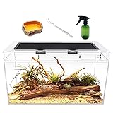 Reptile Growth Terrarium Komplettset, 50 x 25 x 27cm Faunarium für,Schnecken,Insekten,Wasserschildkröten，Vogelspinnen,Springspinne,Leopard Gecko,Bärtiger Drache ，Frosch,Aquarium,Einsiedlerkrebs…