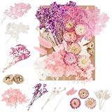 Getrocknete Trockenblumen,Trockenblumen zum Basteln Natürliche Getrocknete Blumen Straus Gemischte DIY Getrocknet Blumen Set für DIY Karten Harz Handwerk Karten Machen und Scrapbooking Deko- Lila