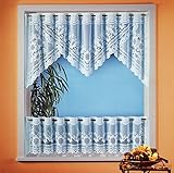 fashion-and-joy Gardine Vorhang Scheibengardine 2-teiliges Bistro-Set HxB 60x160 cm Aktion Typ160