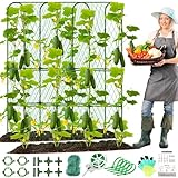 Gurken Rankgitter für Hochbeet, Hoch Metall Garten Rankhilfe für Kletterpflanzen Outdoor mit Netz, Handschuhen, Gartengeräten, Rankhilfe für Gemüse Pflanzenunterstützung Erbsen Obst Blume Traube