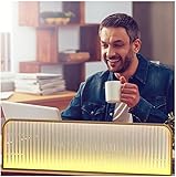 LED-Lichtleiste, Glas-Trennwand, gehärtetes Glas, konvexe Trennwand für Esszimmer, Restaurant und Bar, Dekoration (Roségold, 150 x 25 cm), stilvoll, modern und funktional