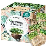 valeaf BIO Microgreens Anzuchtset I Starter Kit zur Sprossen Samen Anzucht I Microgreens Anzucht Sprossensamen I Sprossen Set zum Sprossen selber Züchten I Mikrogrün Samen