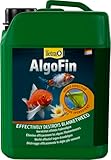Tetra Pond AlgoFin Teich Algenvernichter - wirkt effektiv bei Fadenalgen, Schwebealgen und Schmieralgen im Gartenteich, 3 L