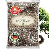 ORAGARDEN Bonsai Erde für Zimmerpflanzen und Garten - 3L Bonsai Substrat für Baum, Palmen - 6 Komponenten Bonsaierde