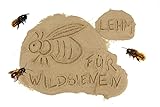 Lehmpulver zum Schließen & Einkleben von Niströhren /zum Basteln & Bauen /Baumaterial für Wildbienen (2000), Braun