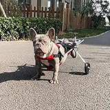 Cora Pet Wagen Hunderollstuhl Rollstuhl Dog Wheelchair für Hunde Katze Hase, Hinterbein/Hintere Füße, Rollwagen Gehhilfe Hundegehilfe Hunderollwagen, Haustier von 2~44 lb