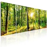 murando Akustikbild Wald Bilder Akustikschaum Hochleistungsschallabsorber Schallschutz Leinwand 5 tlg Wandbild Raumakustik Schalldämmung Waldlandschaft Natur Baum c-B-0184-b-m