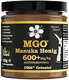 BEE NATURAL MGO 600+ MANUKA HONIG * PREMIUM MONOFLORAL NEUSEELAND MANUKA HONIG IN EINEM UMWELTFREUNDLICHEN ECHTGLASGEFÄß AUS NICHT GEFÄRBTEM GLAS # MANUKAHONIG MGO 600+ = UMF 16+ (1x 250G MGO600)
