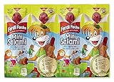 Ferdi Fuchs Mini Salami (4 Stück), 10er Pack (10 x 50 g)
