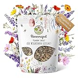 100g Premium Wildblumensamen für eine bunte Blumenwiese - Farbenfrohe & nektarreiche Blumensamen Mischung für Bienen & Schmetterlinge (inkl. GRATIS eBook)
