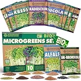 ZenGreens® - Bio Sprossen Samen im 10er Set - Keimsprossensamen - für leichte Zucht im Sprossenglas oder Anzuchtschale - Probierpaket - 10 verschiedene Sorten - Microgreens Samen Mix