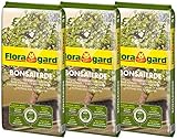 Floragard Bonsaierde 3x5L - Spezialerde für anspruchsvolle Bonsais - mit Tongranulat, Vital-Ton und dem Naturdünger Guano Braun