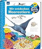 Wieso? Weshalb? Warum?, Band 27: Wir entdecken Meerestiere (Wieso? Weshalb? Warum?, 27)