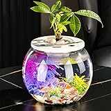 Aquariumschale,Kugelaquarium Bruchsicherer,Kunststoff Fischschale, ideal für Blumen oder als Fischglas, Kleines Rundes Fischaquarium Für Betta-Fische,Mini-Aquarium Für Wohnzimmer,18 cm