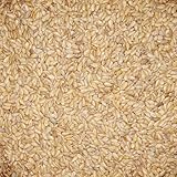 Leinsamen gelb - Gladen 2,5kg - Tierfutter Pferd Taube Geflügel Vogel