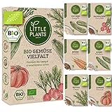 Nachhaltiges BIO Gemüsesamen Set - 6 Sorten BIO Gemüse Samen, 100% Natürlich, extra viele Samen - BIO Saatgut Gemüse zum Anbauen im Garten Hochbeet - Samen Gemüse