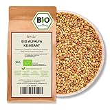 Kamelur 1kg BIO Alfalfa Sprossen Samen – Luzerne Samen BIO, Keimsaat ohne Zusätze – Alfalfa Samen in biologisch abbaubarer Verpackung