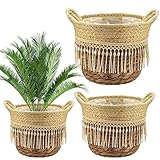 REFORUNG 3er Set Seegras Pflanzkorb BlumenTopf Blumenkorb blumenübertopf Geflochten mit Griffen Seegras Korb Aufbewahrungskorb Pflanzen Seegras Handgewebter Blumentopf Boho für Drinnen Draußen