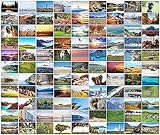 Bear and Bee 100 Landschaftspostkarten mit 100 verschiedenen Motiven Postkarten Landschaften (100 Fotokarten)