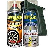 LudwigLacke Wunschfarben Set 1x Autolack 1x Klarlack je 400ml & Haltegriff