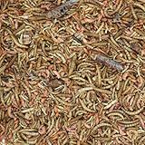 Paul´s Mühle Protein Power Insekten Mix für Vögel 1 kg