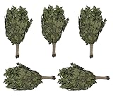 Dufte Momente | 5 x Birken Reisig, Wenik, Quast für Sauna, Banja | aus Ernte 2024 | einzeln verpackt und luftgetrocknet | mehrfach verwendbar ¬| Länge ca. 50-60cm, Gewicht ca. 190g