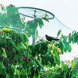 Vogelschutznetze FüR Balkon Laubschutznetz Taubennetz Feinmaschig Maschenweite 1.5x1.5cm Laubnetz,Teichabdecknetz, Vogelschutznetz,2x10m