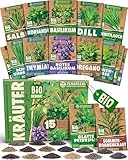 ZenGreens® - Bio Kräuter Samen Set - 15 Kräutersamen für den einfachen Anbau im Garten, Balkon oder Hochbeet - Pfalnzensamen - Saatgut